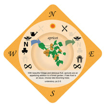 Food Forest Card Game (Northern Hemisphere)
