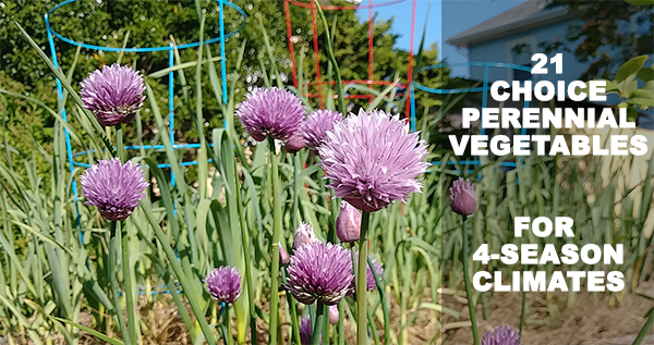 21 Choice Perennial Vegetables For 4-Season Climates