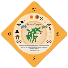 Food Forest Printable Cards, French Language Version (PDF)