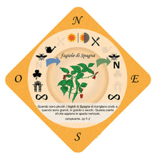 Food Forest Printable Cards, Italian Language Version (PDF)